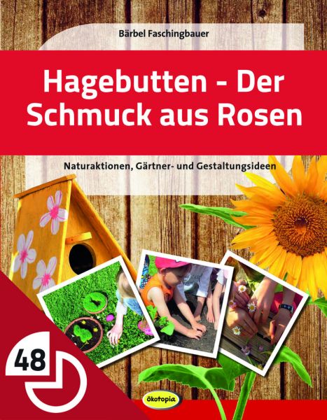 Hagebutten - der Schmuck aus Rosen