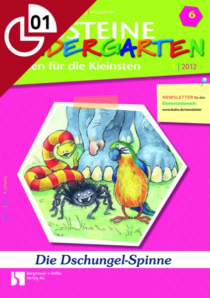 Im Dschungel - Spinne